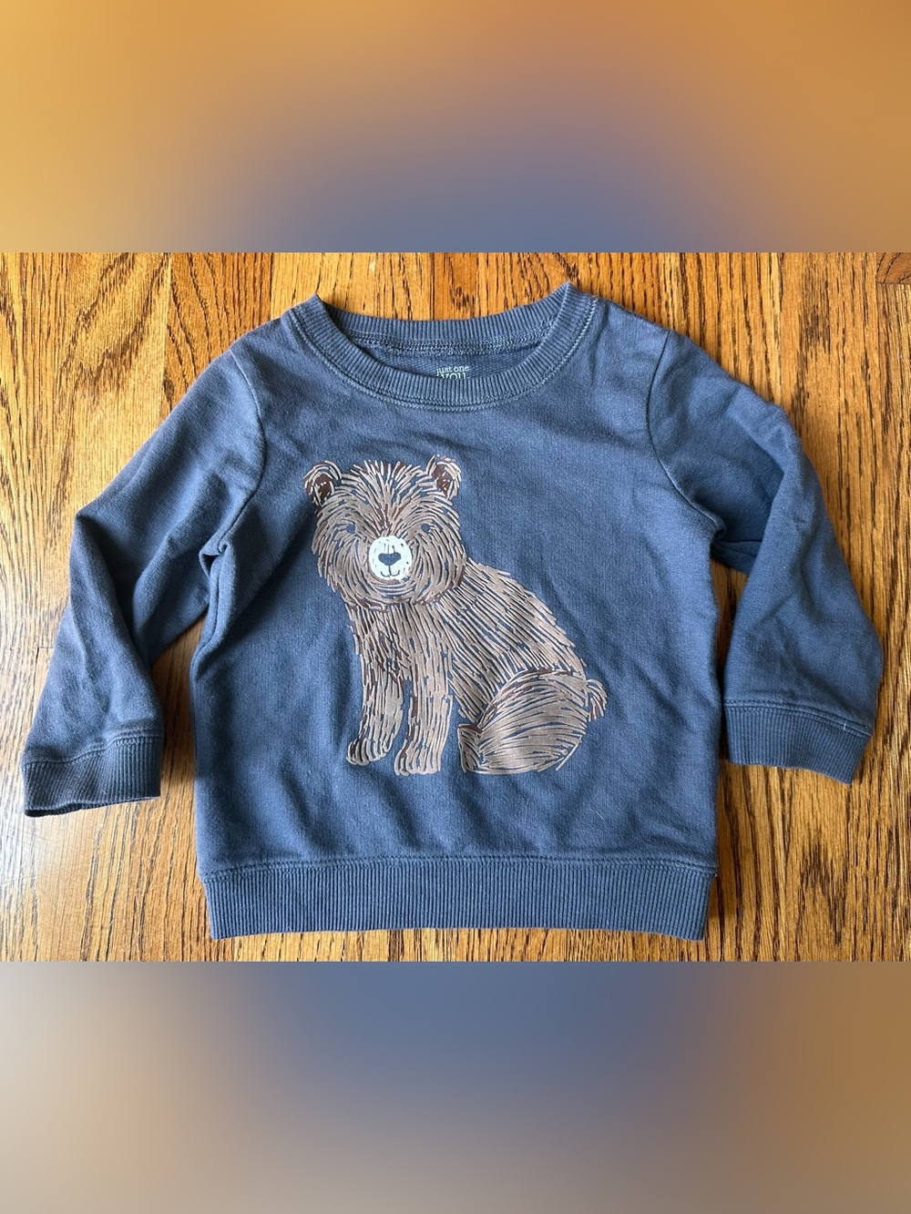 🐻 Baby Boys Sweatshirt